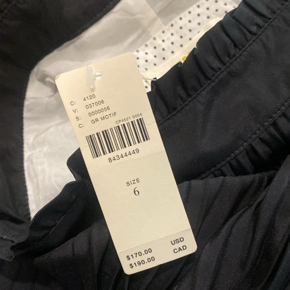 Anthropologie Maeve Ombre Pleated Maxi skirt size 6 NWT - Picture 6 of 9